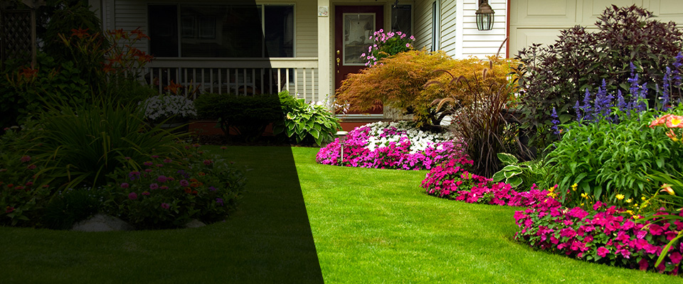 Harlem Landscapers